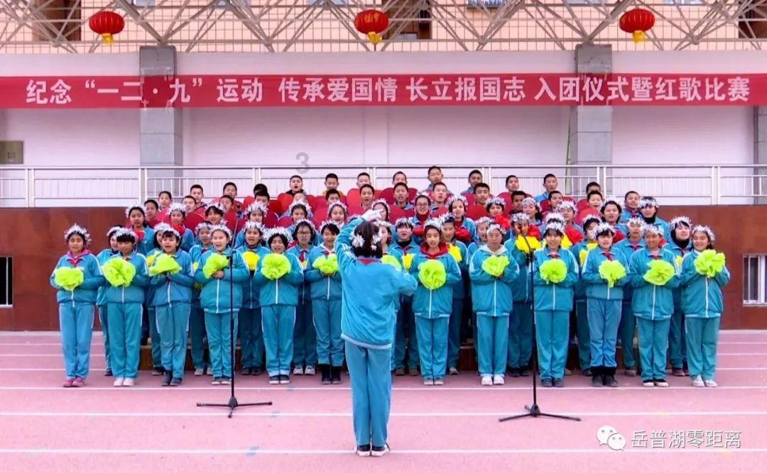 萌犬记忆卡